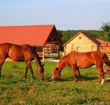 Шале Chalet A6 Сен-Фаржо-Понтьери